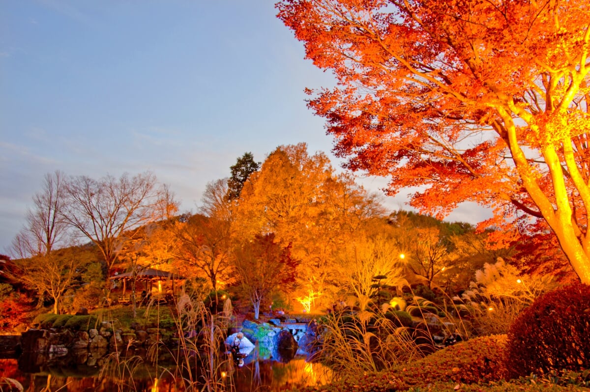 桜山公園の写真 