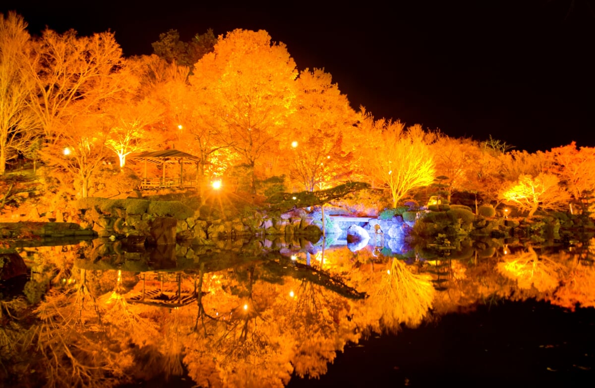 桜山公園の写真 