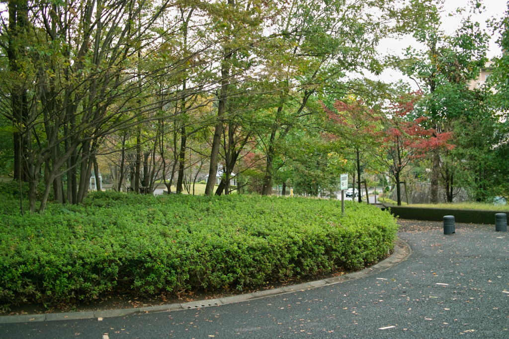 真光寺公園の写真 ©珈琲牛乳(CC BY 3.0)