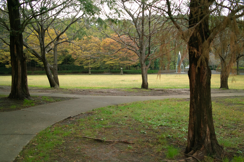 真光寺公園の写真 ©珈琲牛乳(CC BY 3.0)