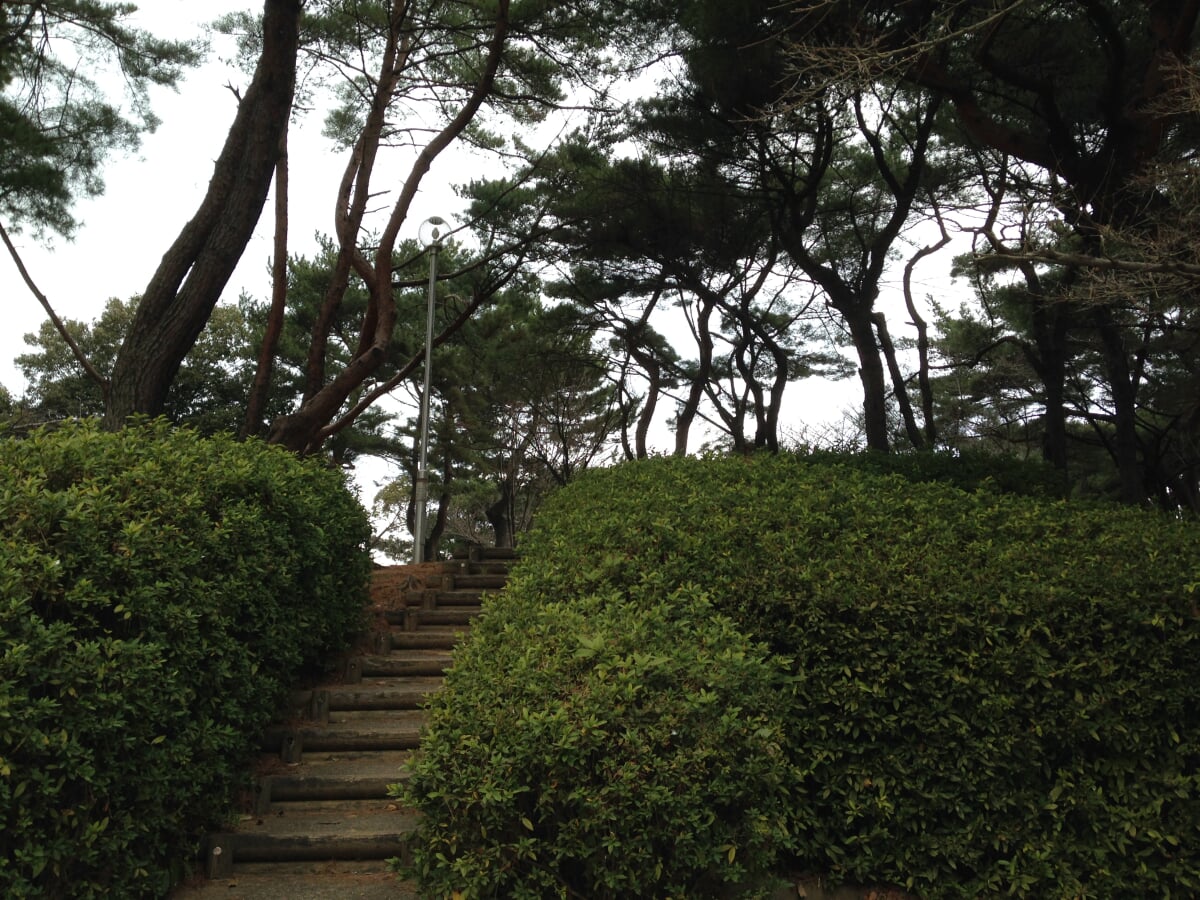 紅葉山公園の写真 ©そらみみ(CC BY-SA 4.0)