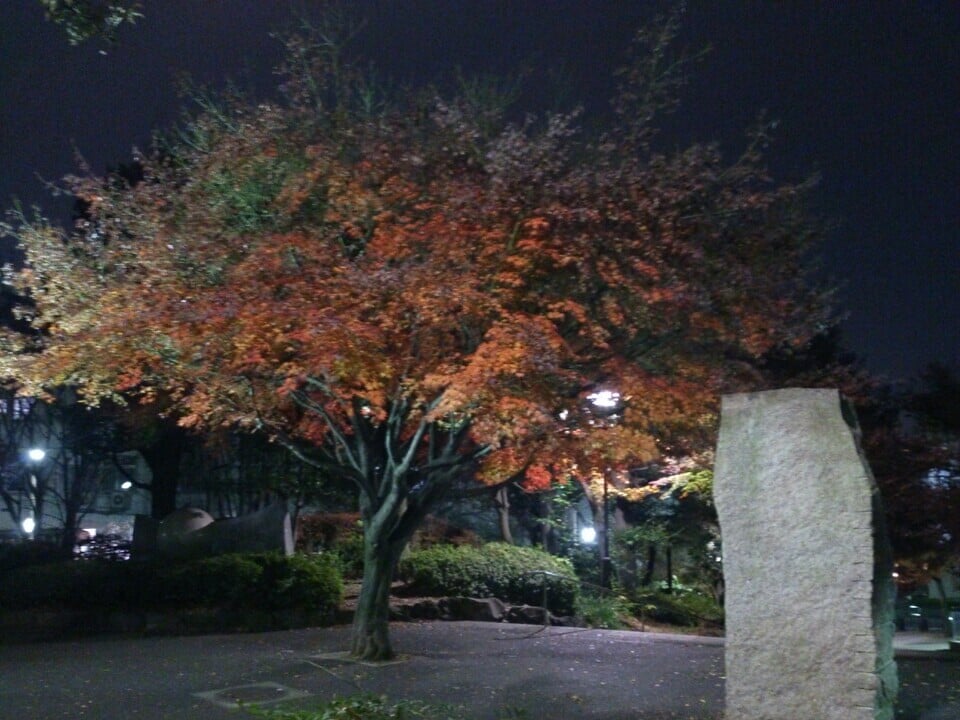 紅葉山公園の写真 ©Norisa1(CC BY 2.0)