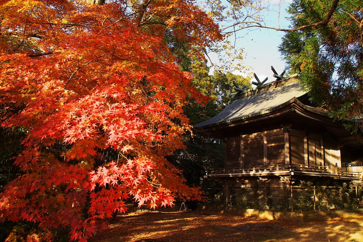 西渓公園の写真 ©mahlervv(CC BY 3.0)