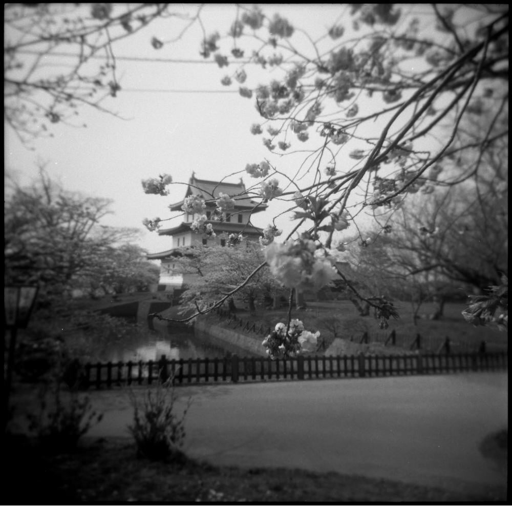 松前公園の写真 ©daita(CC BY 2.0)