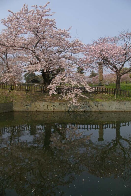 松前公園の写真 ©daita(CC BY 2.0)