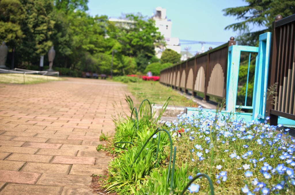 哲学堂公園の写真 ©Carbonium(CC BY 3.0)