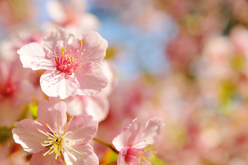 哲学堂公園の写真 ©ajari(CC BY 2.0)