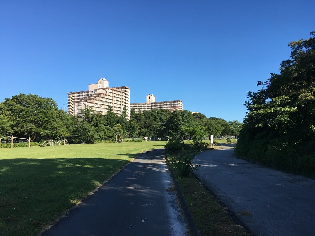 多摩川緑地福生南公園の写真 ©Mikhail Kotykhov(CC BY 2.0)