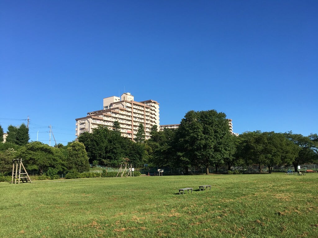 多摩川緑地福生南公園の写真 ©Mikhail Kotykhov(CC BY 2.0)