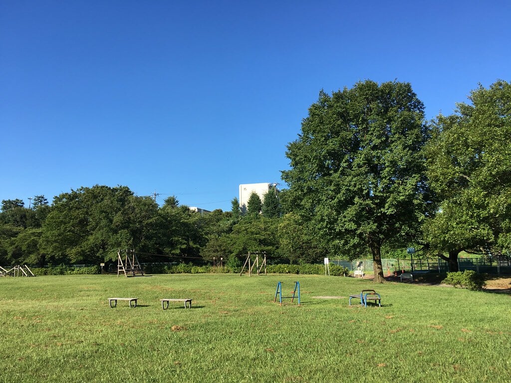 多摩川緑地福生南公園の写真 ©Mikhail Kotykhov(CC BY 2.0)