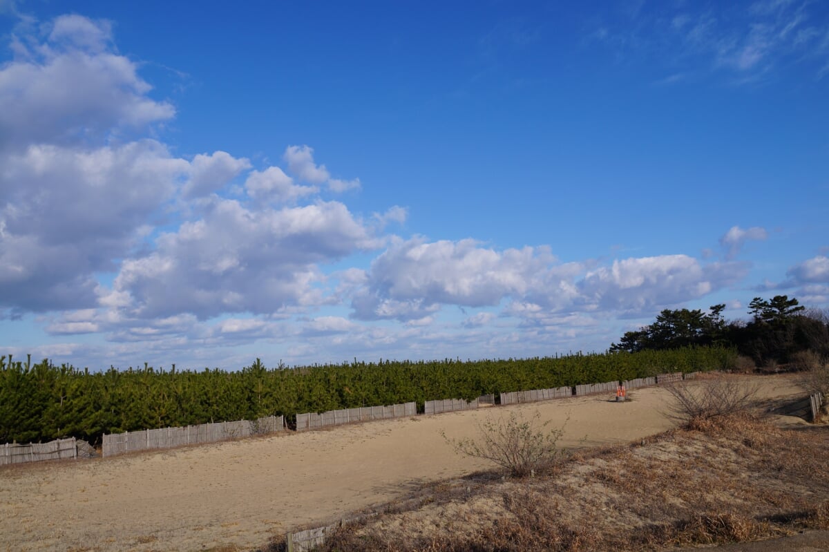 芦屋海浜公園 わんぱーくの写真 