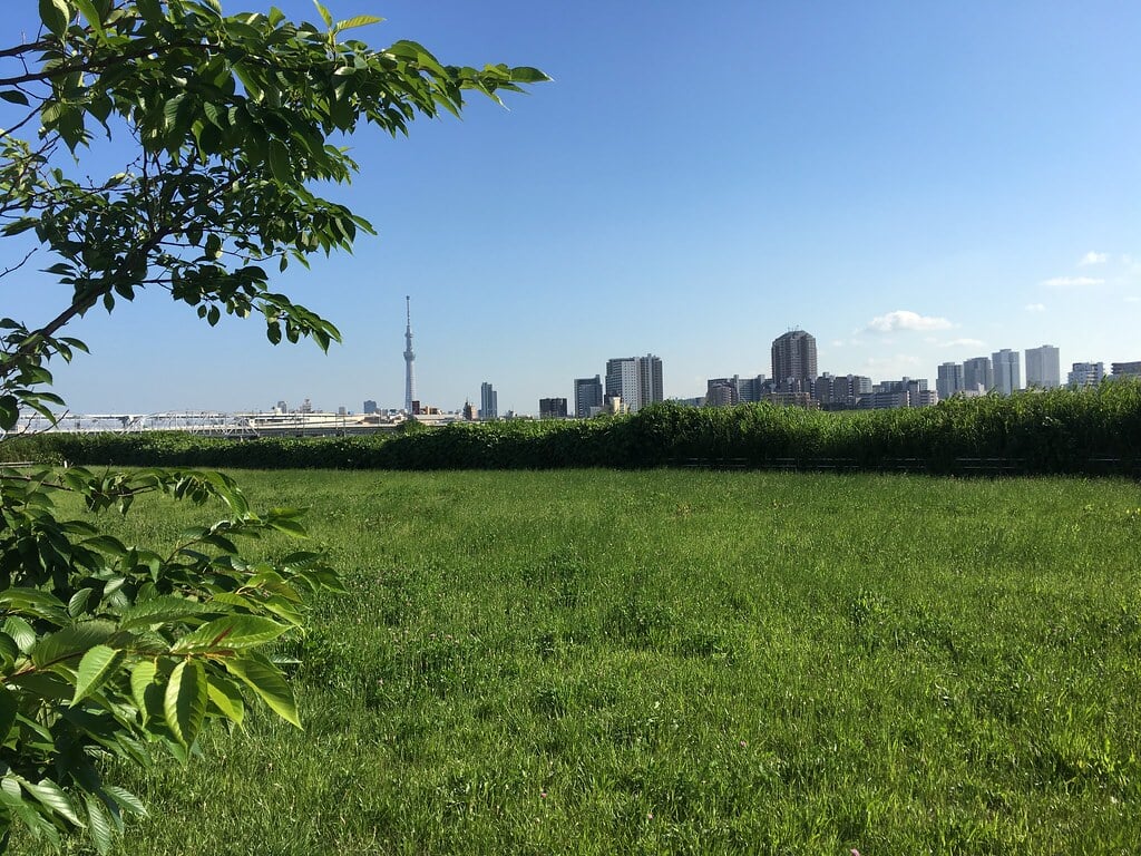 荒川小菅緑地公園の写真 ©Mikhail Kotykhov(CC BY 2.0)