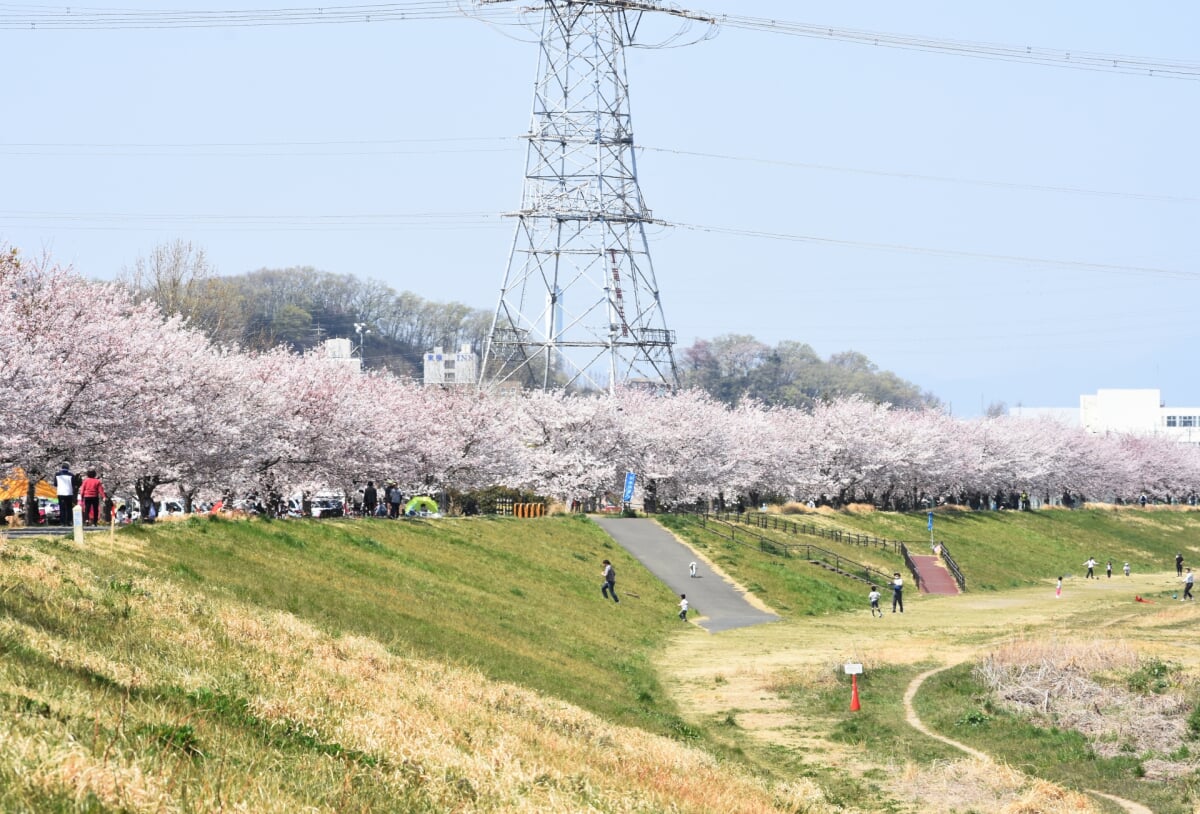 稲城北緑地公園の写真 