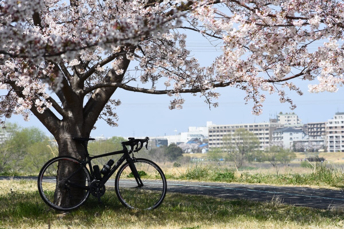 稲城北緑地公園の写真 