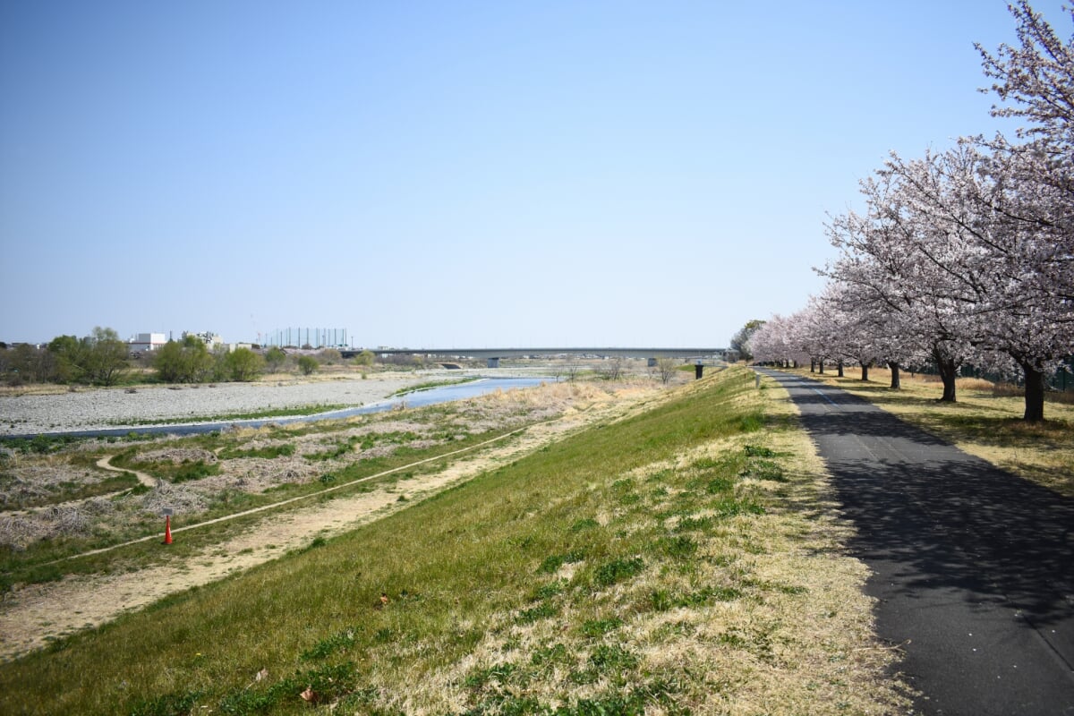 稲城北緑地公園の写真 