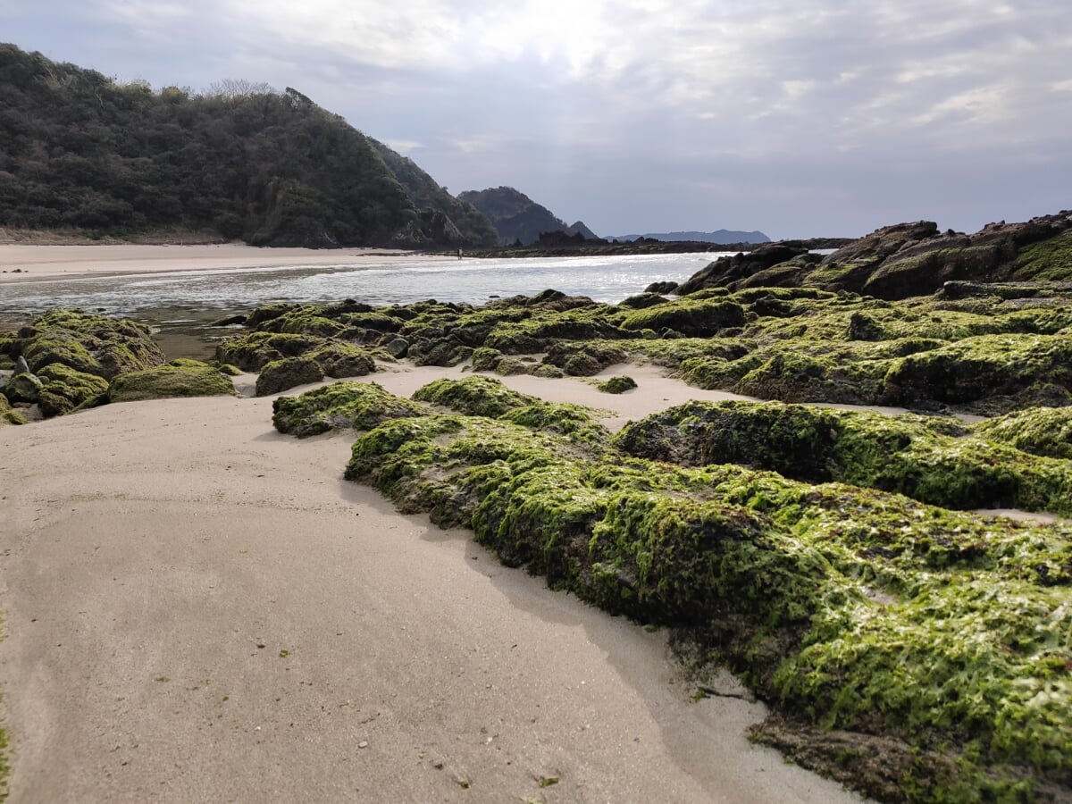 茂串海水浴場の写真 