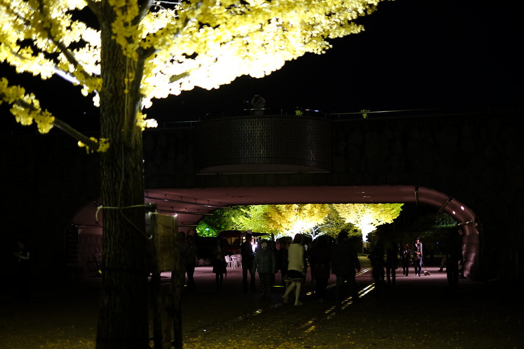 あづま総合運動公園の写真 ©M.Murakami(CC BY-SA 2.0)