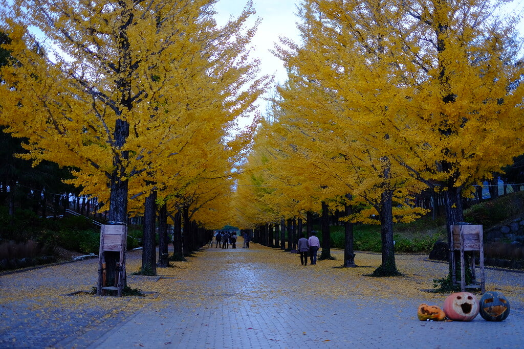 あづま総合運動公園の写真 ©M.Murakami(CC BY-SA 2.0)