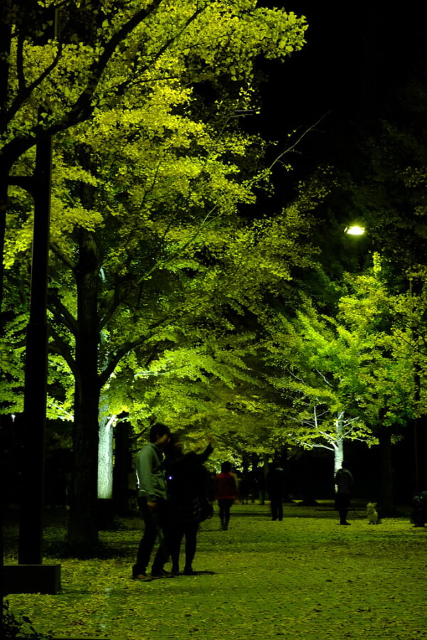 あづま総合運動公園の写真 ©M.Murakami(CC BY-SA 2.0)