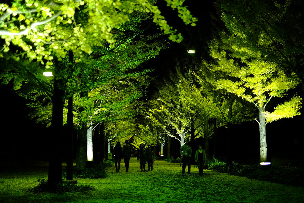 あづま総合運動公園の写真 ©M.Murakami(CC BY-ND 2.0)