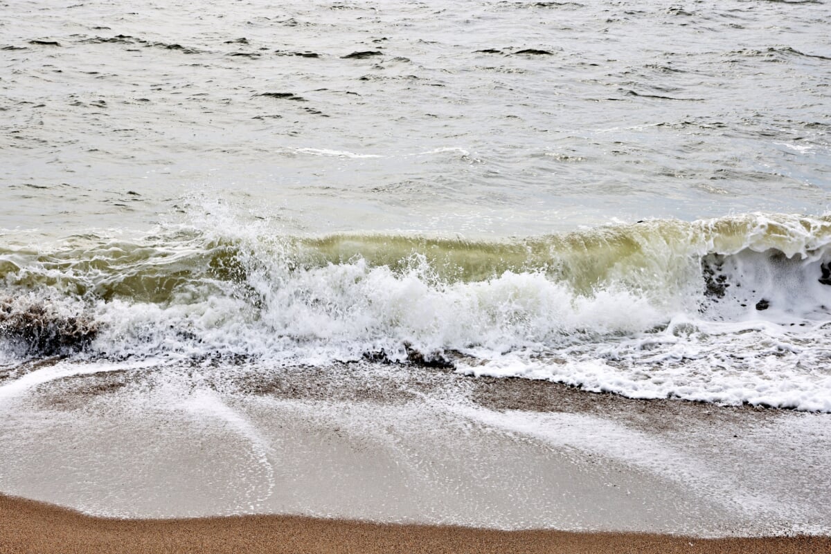 下浜海水浴場の写真 