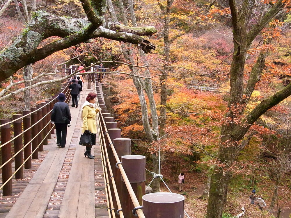 花貫渓谷の写真 ©江戸村のとくぞう(CC BY-SA 4.0)