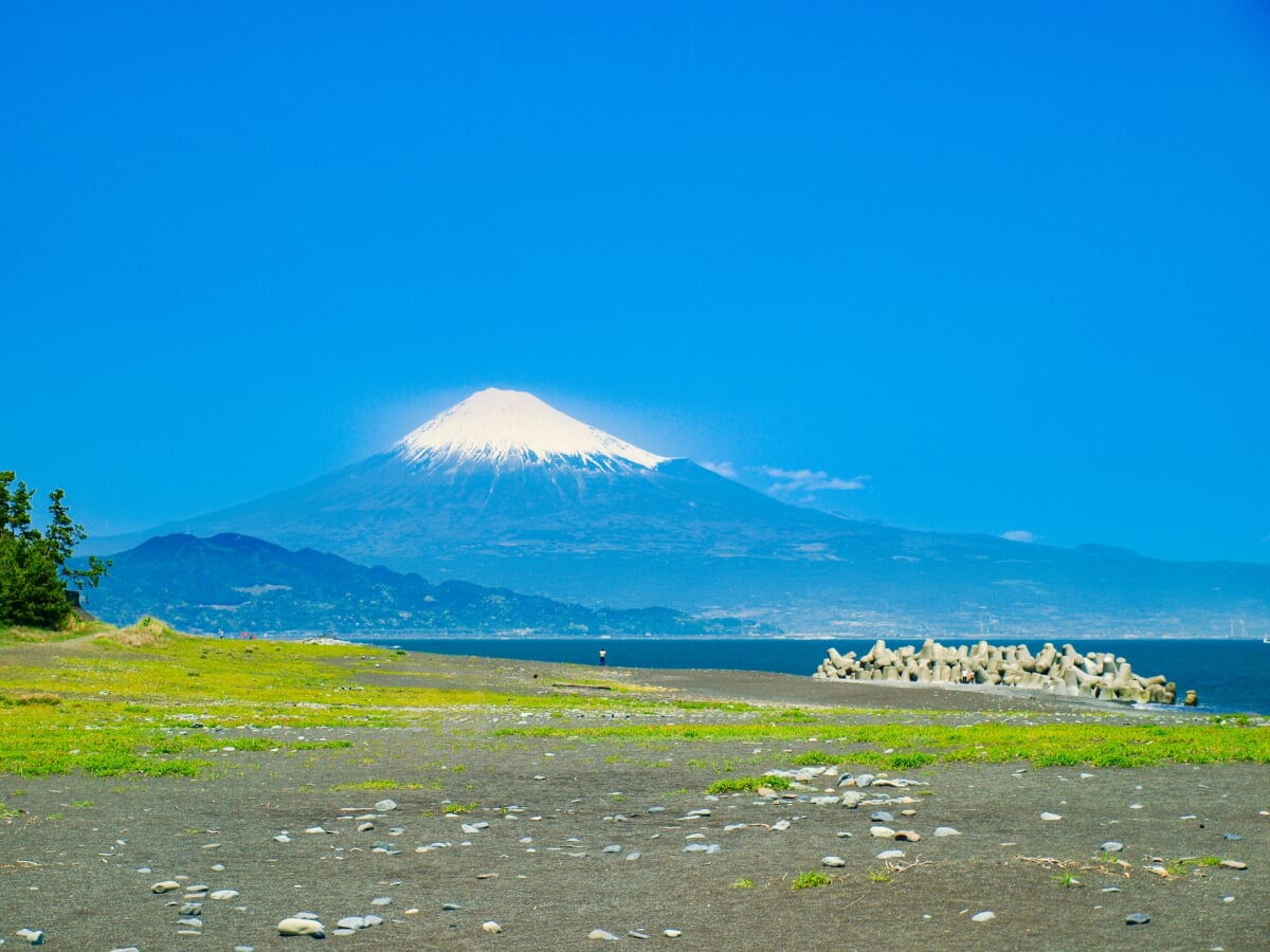 三保真崎海水浴場の写真 