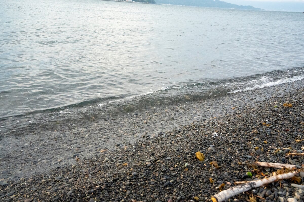 三保真崎海水浴場の写真 