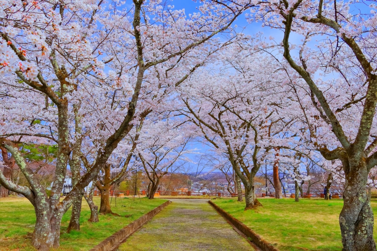 白石城・益岡公園の写真 