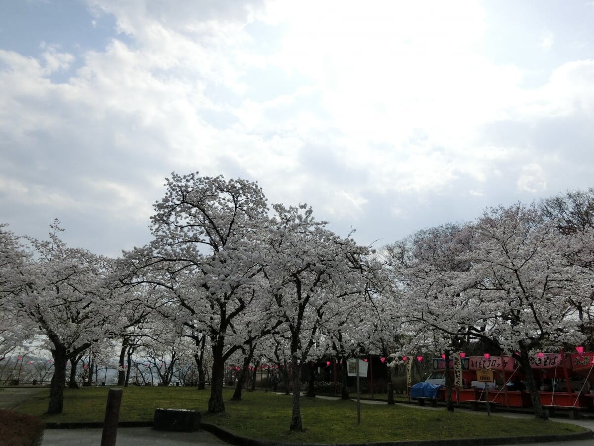 白石城・益岡公園の写真 