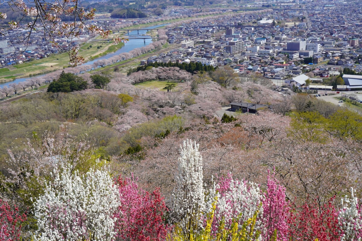 白石城・益岡公園の写真 