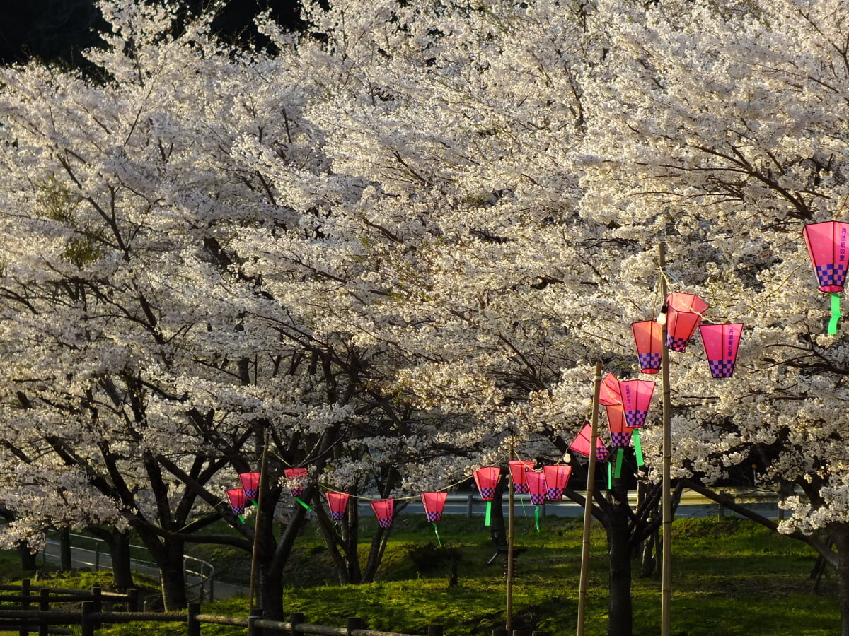 川代公園の写真 ©松岡明芳(CC BY-SA 4.0)