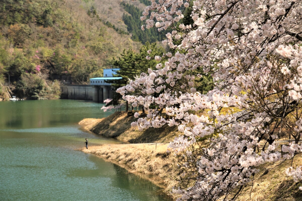 大野ダム公園の写真 