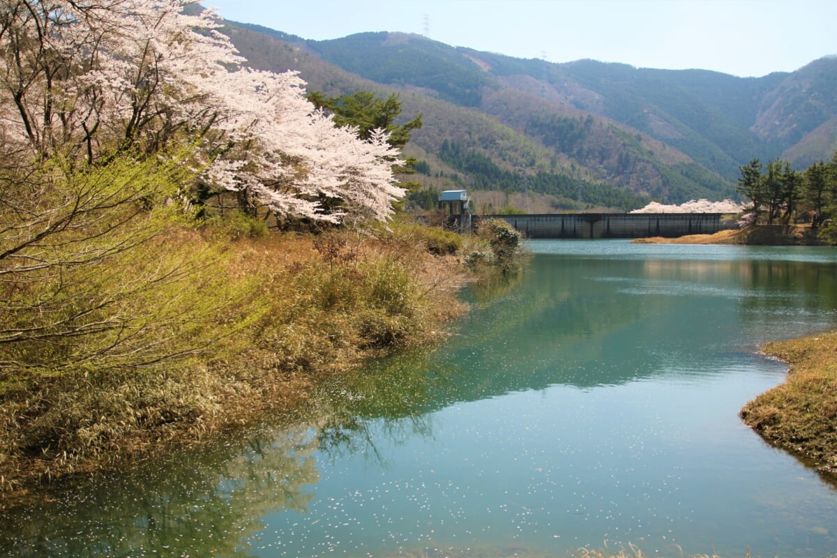 大野ダム公園の写真 