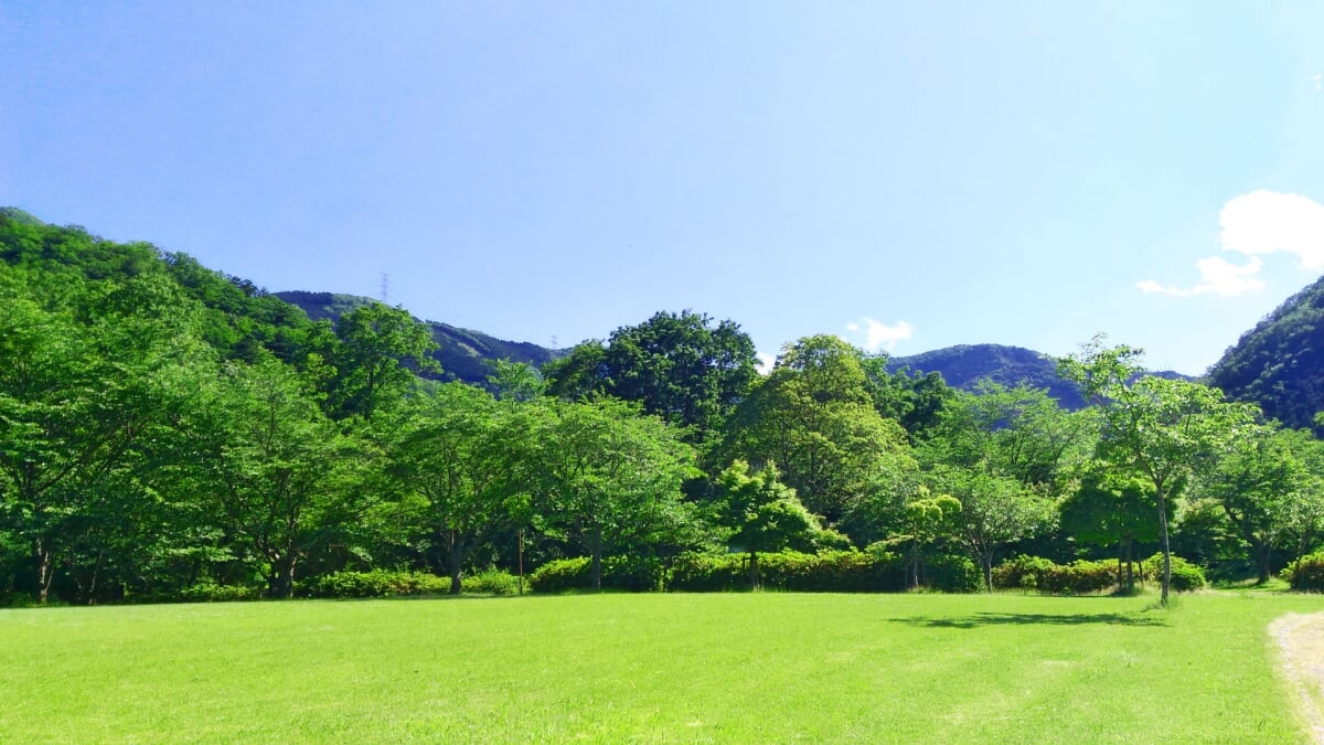 大野ダム公園の写真 