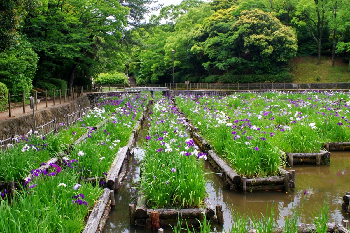 夜宮公園の写真 