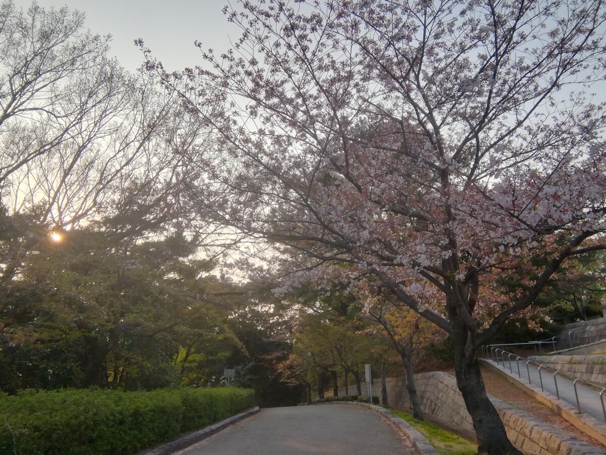 夜宮公園の写真 