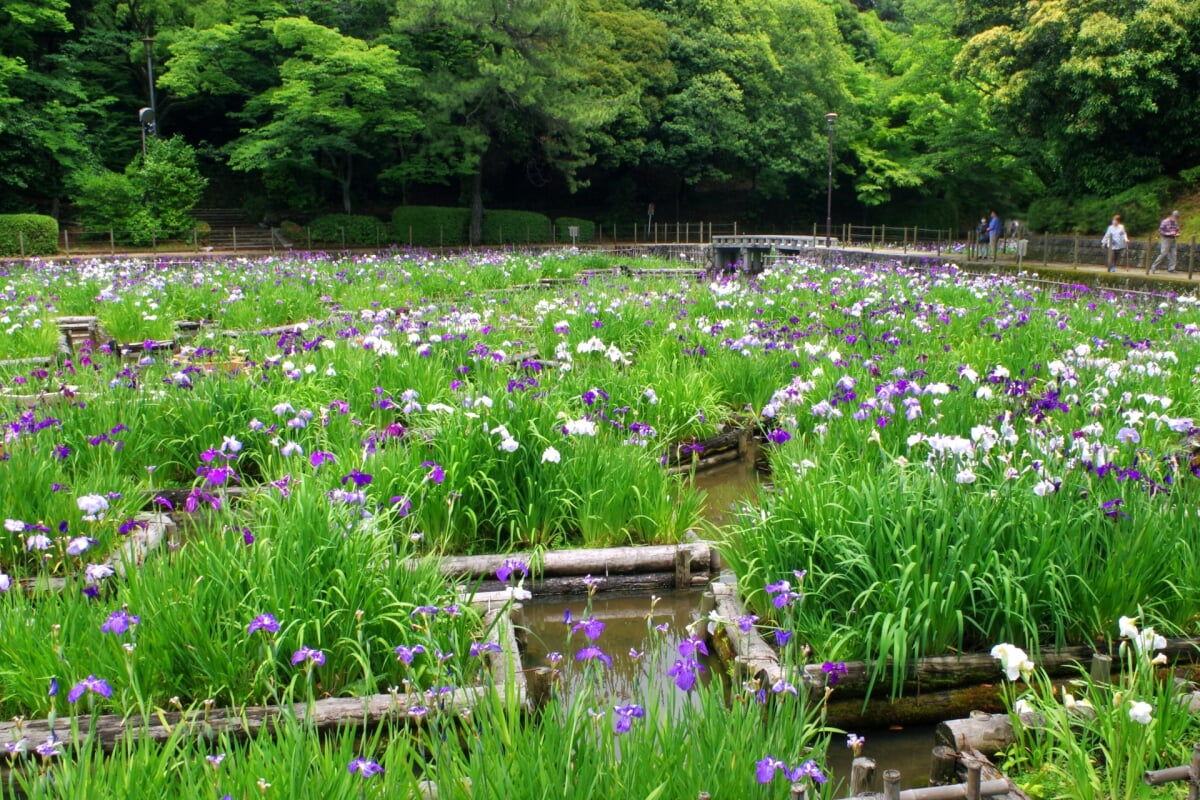 夜宮公園の写真 