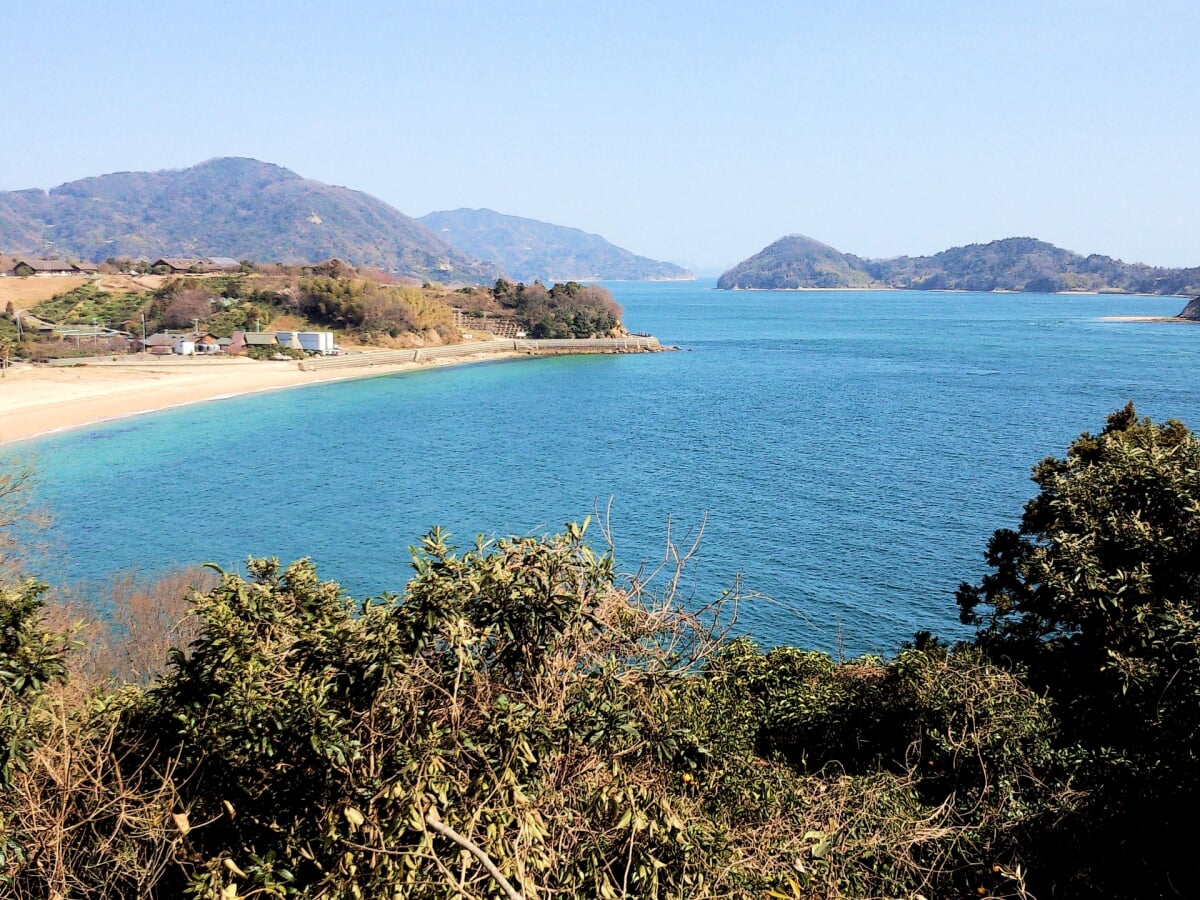 県民の浜海水浴場の写真 