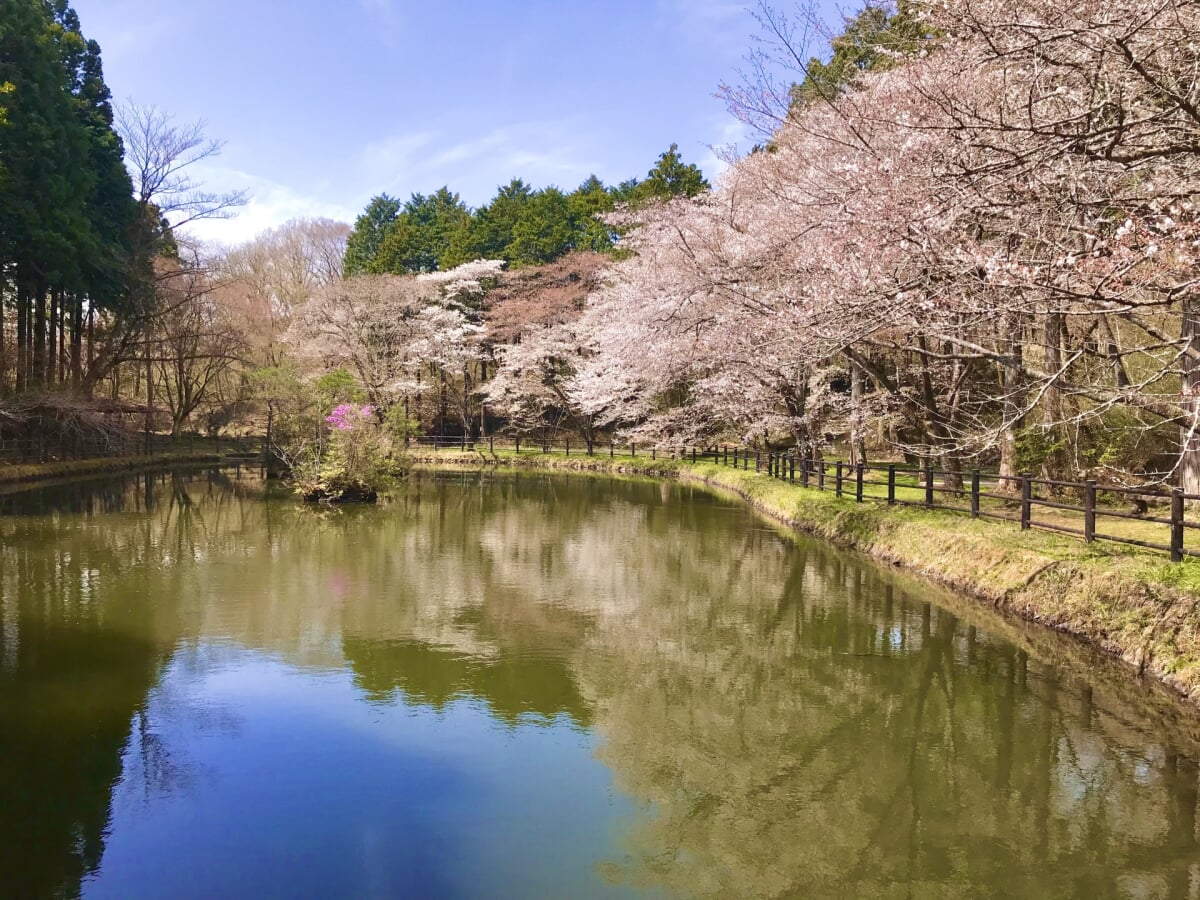 丸火自然公園の写真 