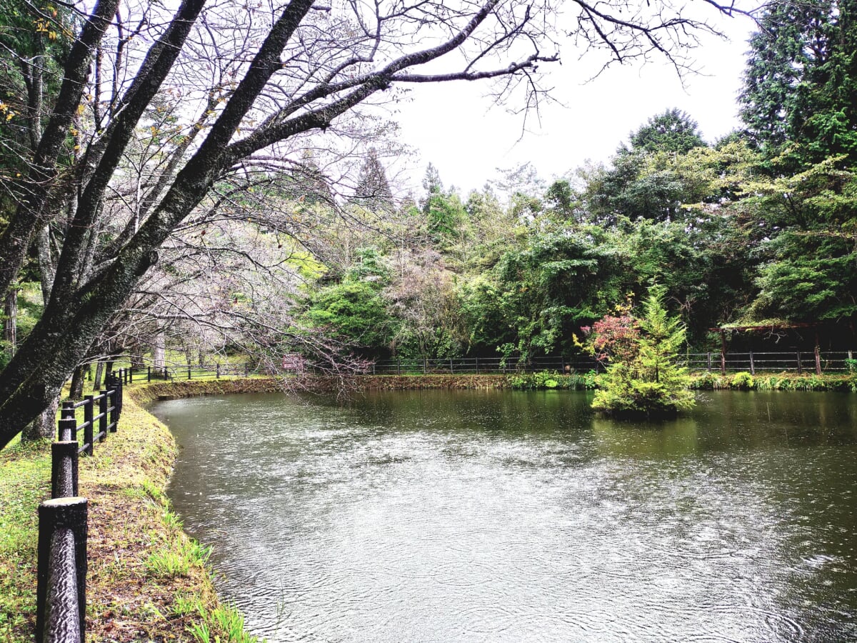 丸火自然公園の写真 