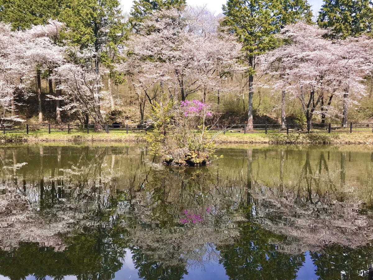 丸火自然公園の写真 