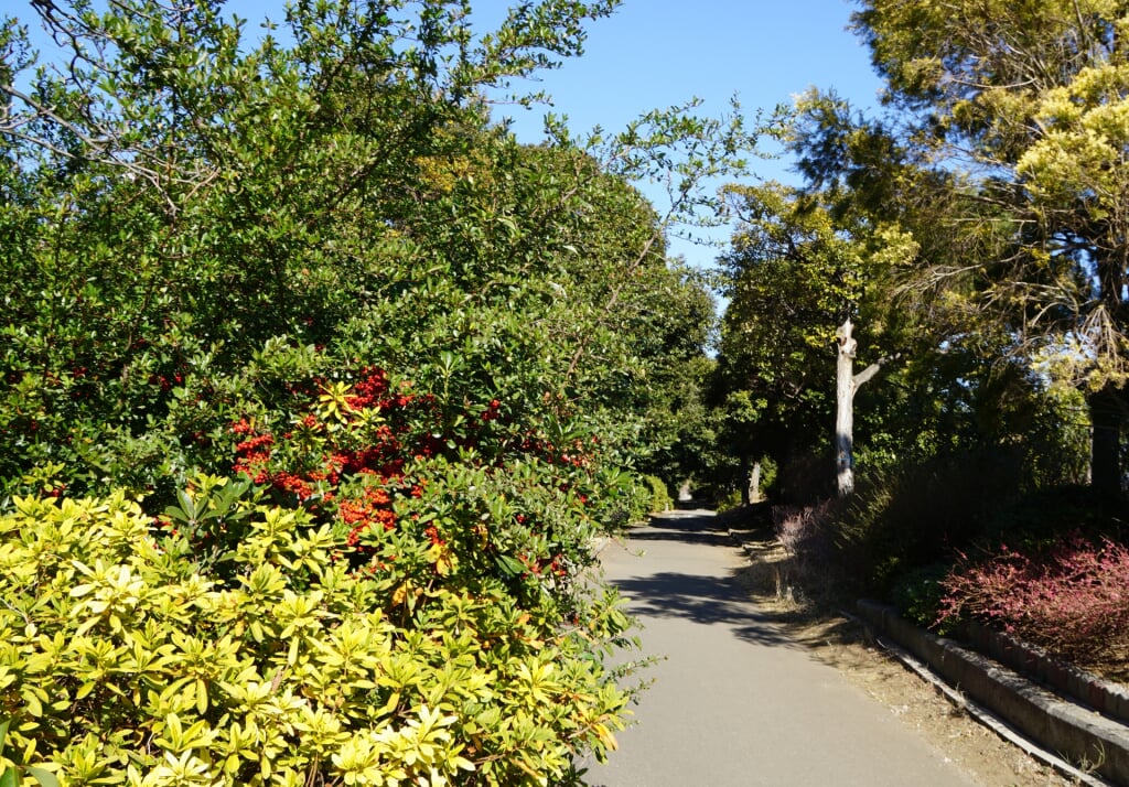 しながわ区民公園の写真 