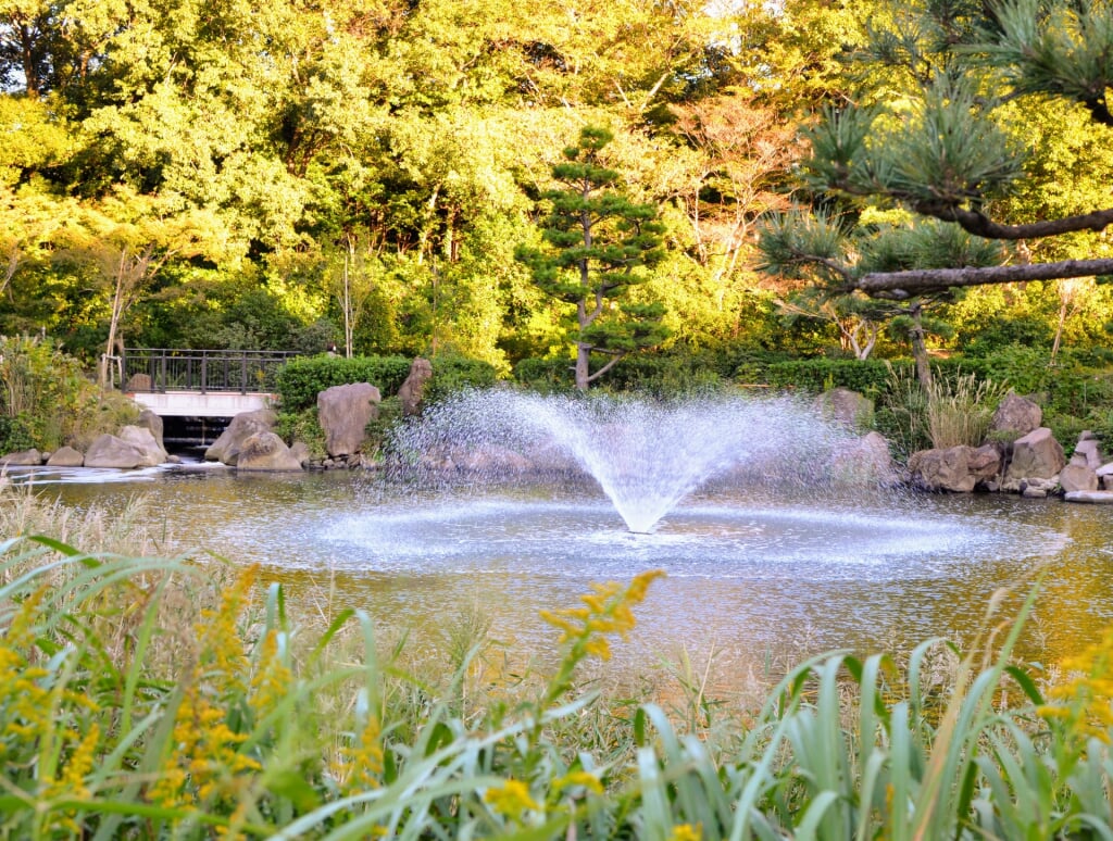 しながわ区民公園の写真 