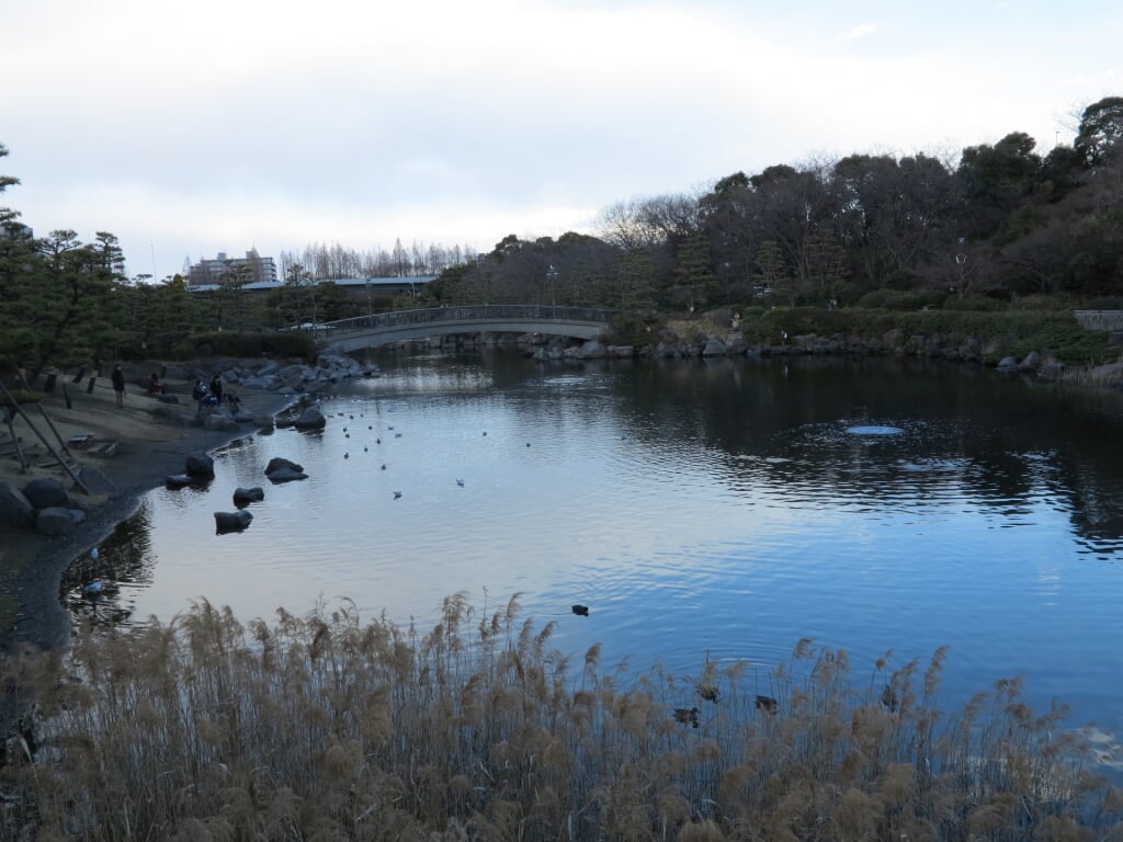 しながわ区民公園の写真 