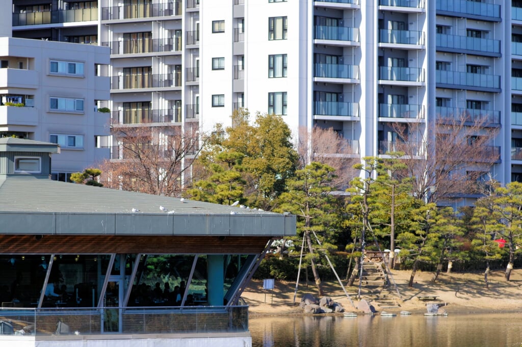 しながわ区民公園の写真 