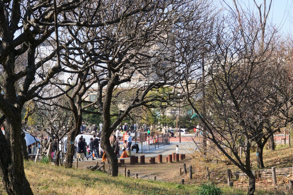 しながわ区民公園の写真 