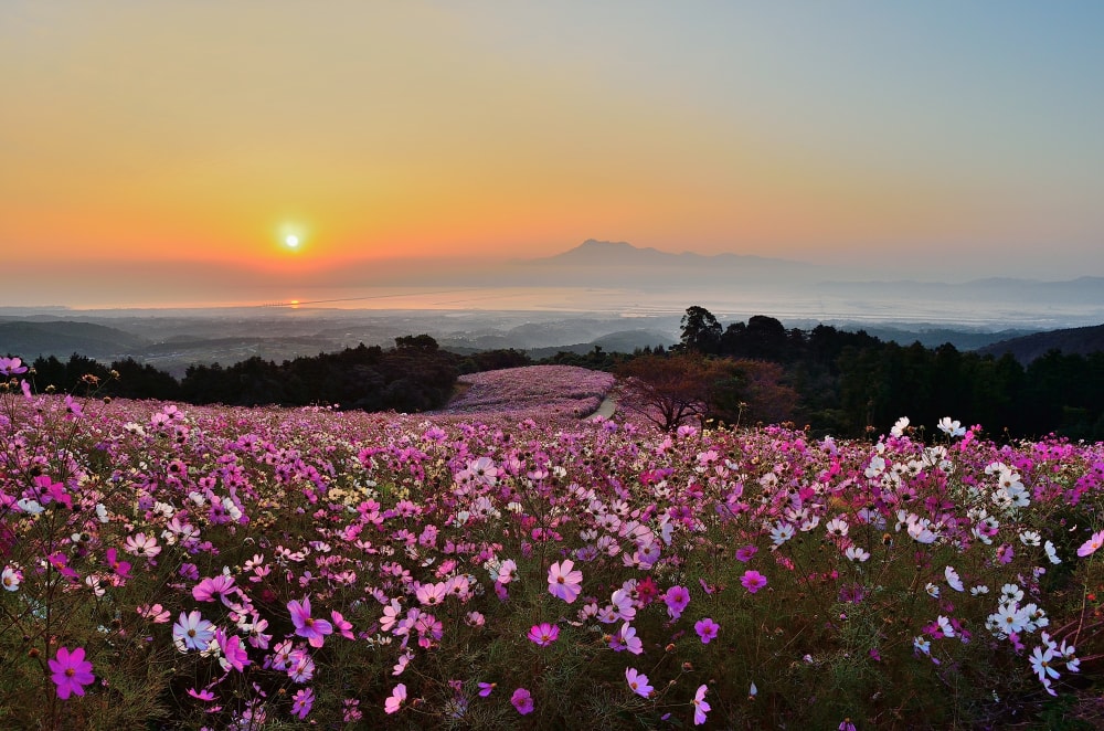 白木峰高原の写真 ©oaaioai on Panoramio(CC BY-SA 4.0)