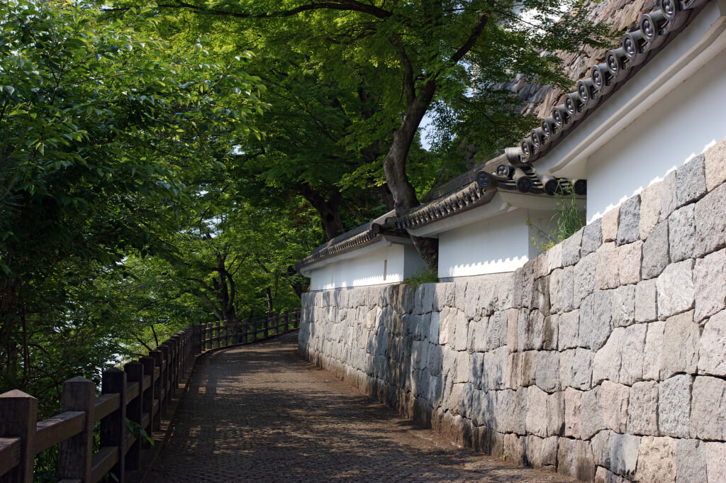 福知山城の写真 ©663highland(CC-BY-SA-3.0)