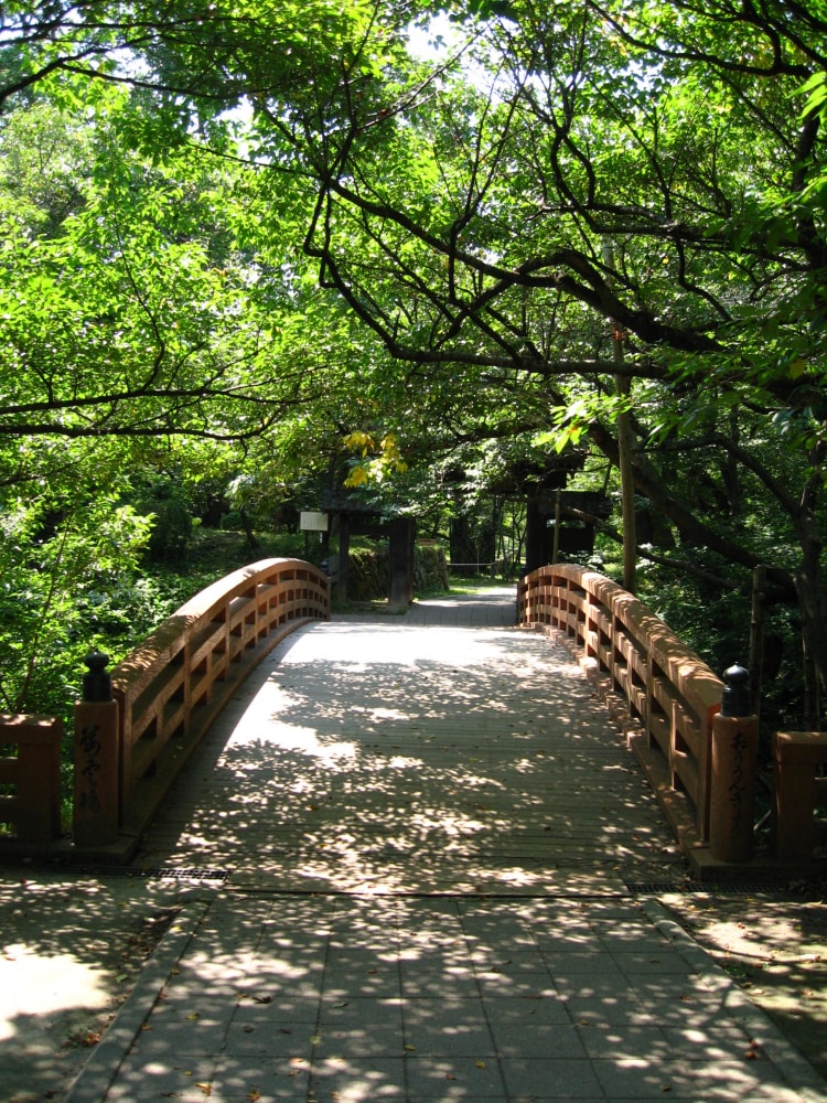 高遠城址公園の写真 ©E-yan(CC-BY-SA-3.0)